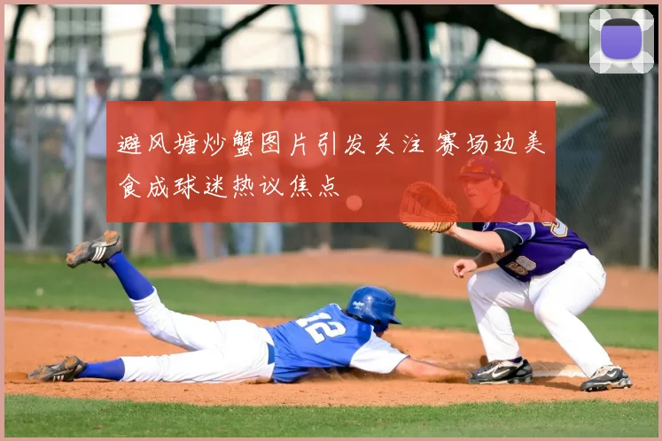 避风塘炒蟹图片引发关注 赛场边美食成球迷热议焦点